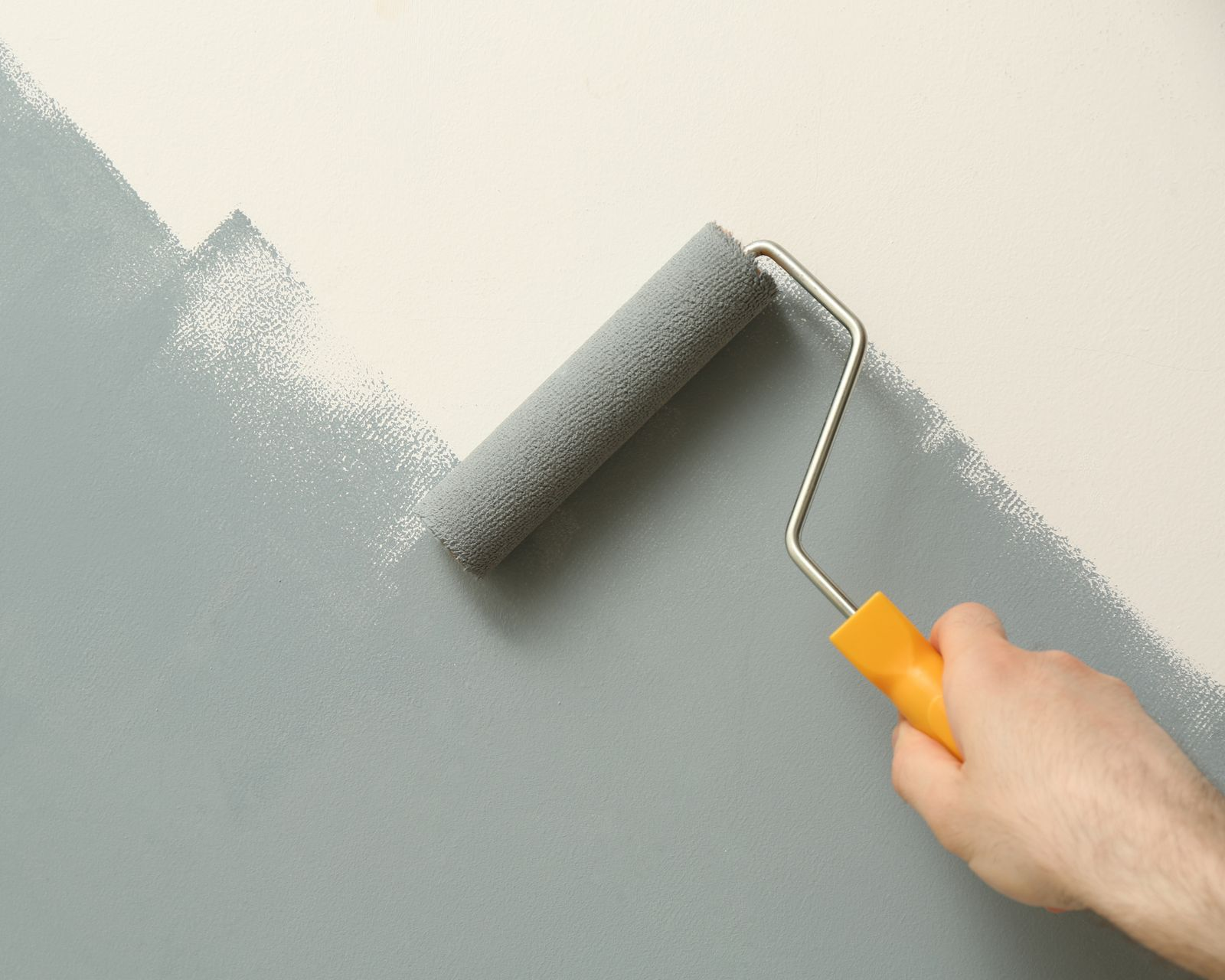 Application d'une peinture vert sauge avec un rouleau