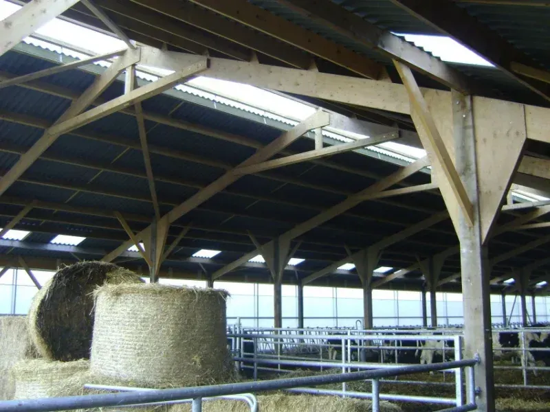 Poutres de soutien en bois et la toiture en tôle ondulée