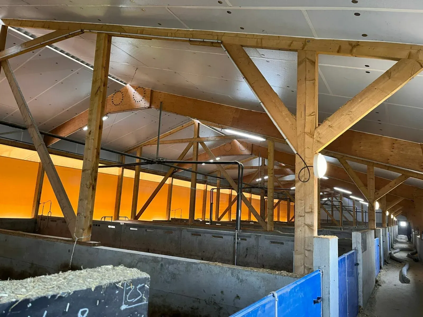 Étable avec charpente en bois, enclos en béton et plafond incliné