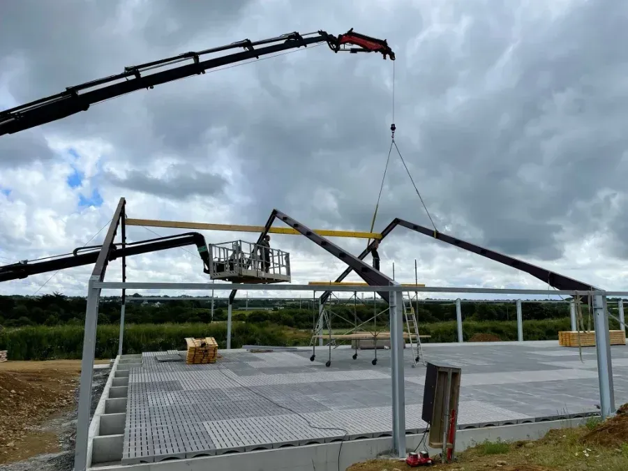 Grue