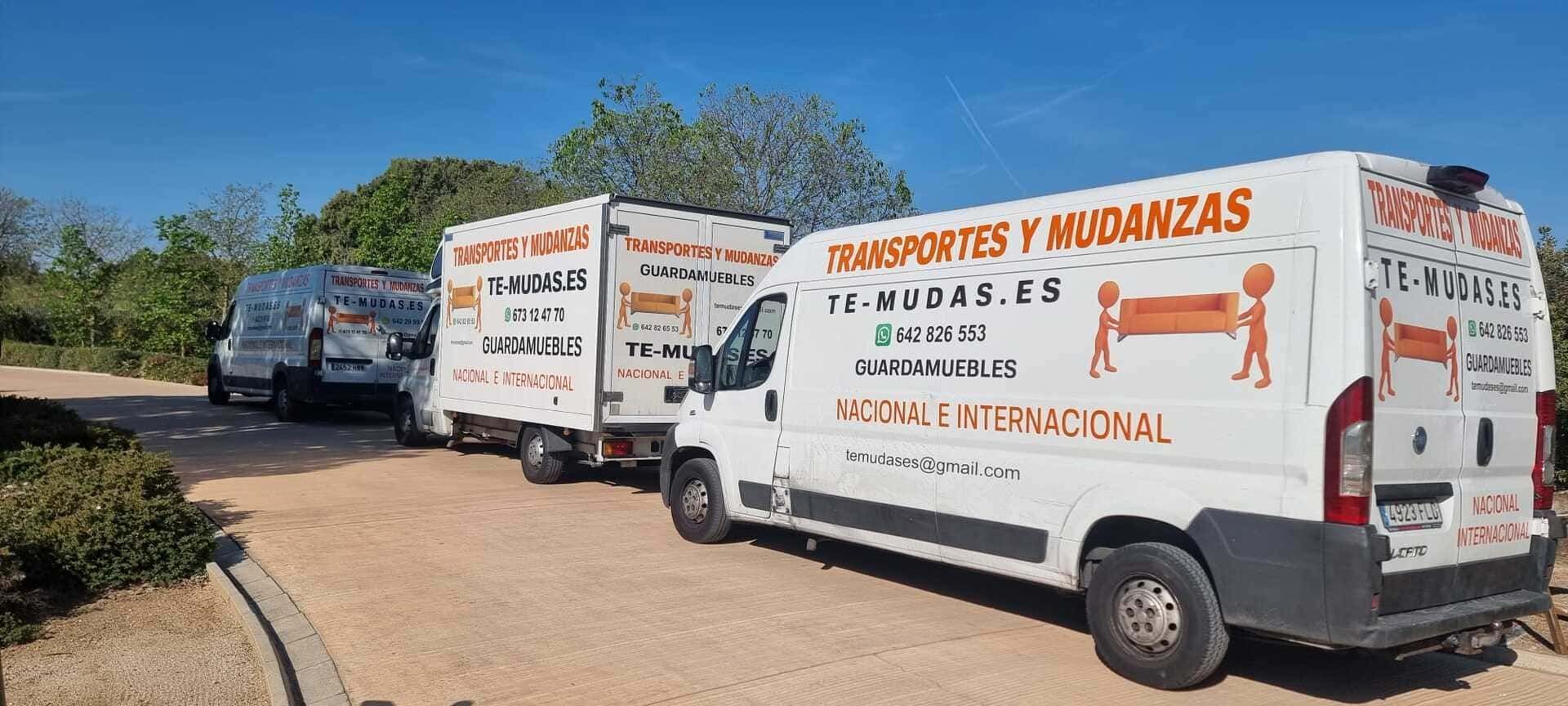 Dos furgonetas blancas de mudanzas con letreros naranjas estaban estacionadas en un camino de tierra cerca de unos árboles y un autobús azul.