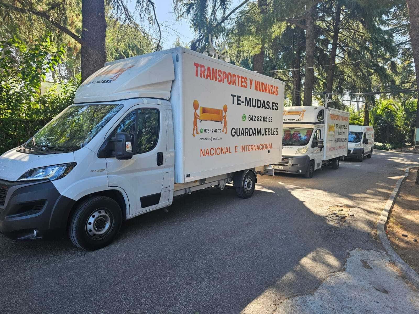 Camiones blancos de caja cerrada estacionados en una carretera arbolada, uno de ellos con el letrero “TRANSPORTE DE MUEBLES”.