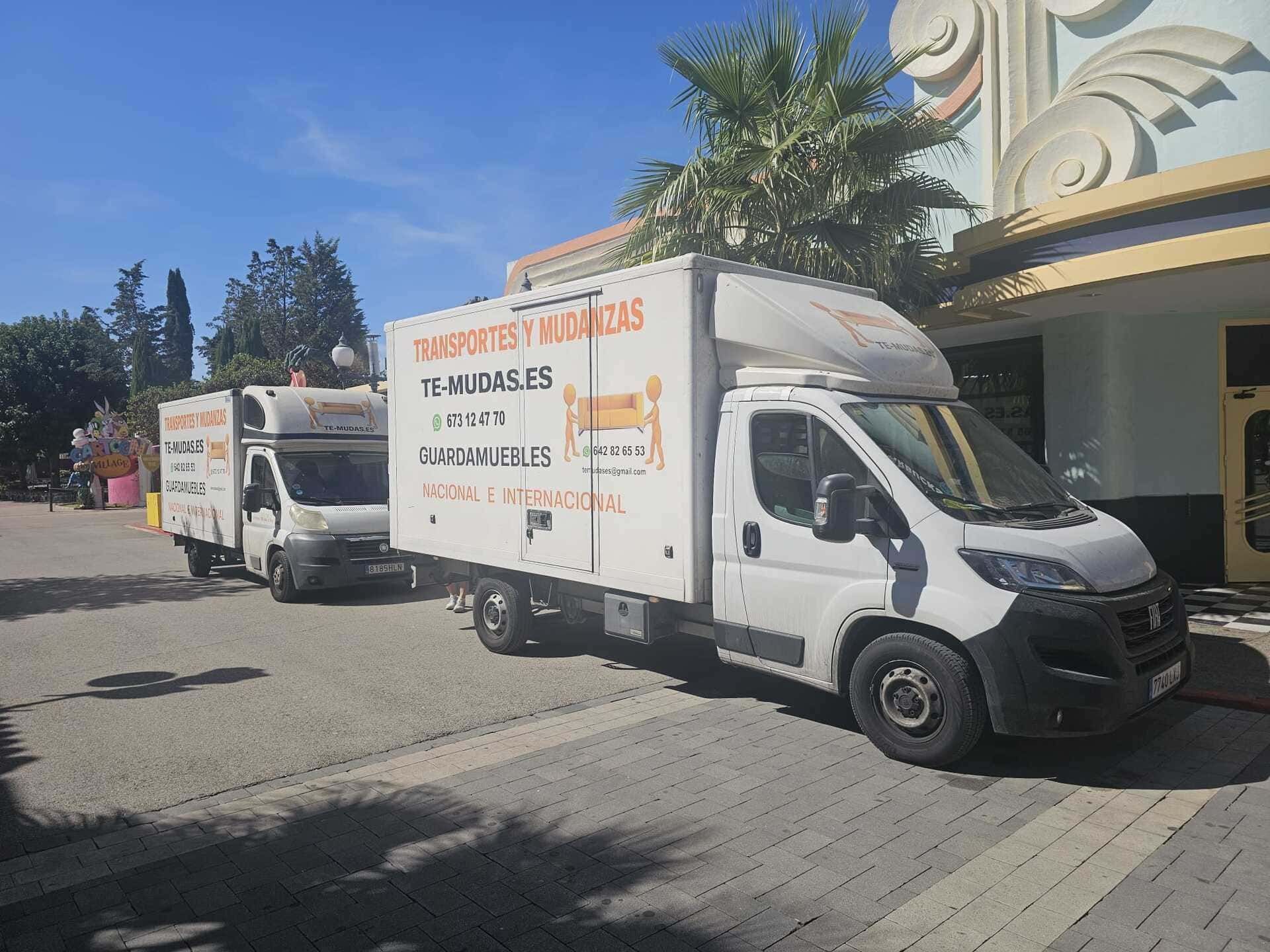 Dos camiones de mudanza blancos estacionados frente a un edificio en una calle soleada.