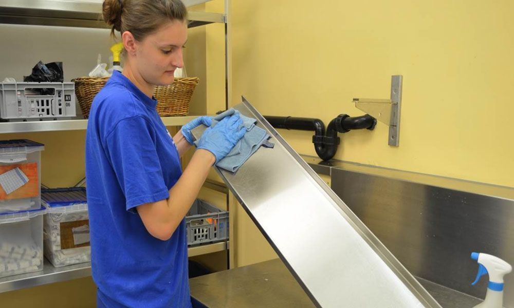 Professionelle Reinigung