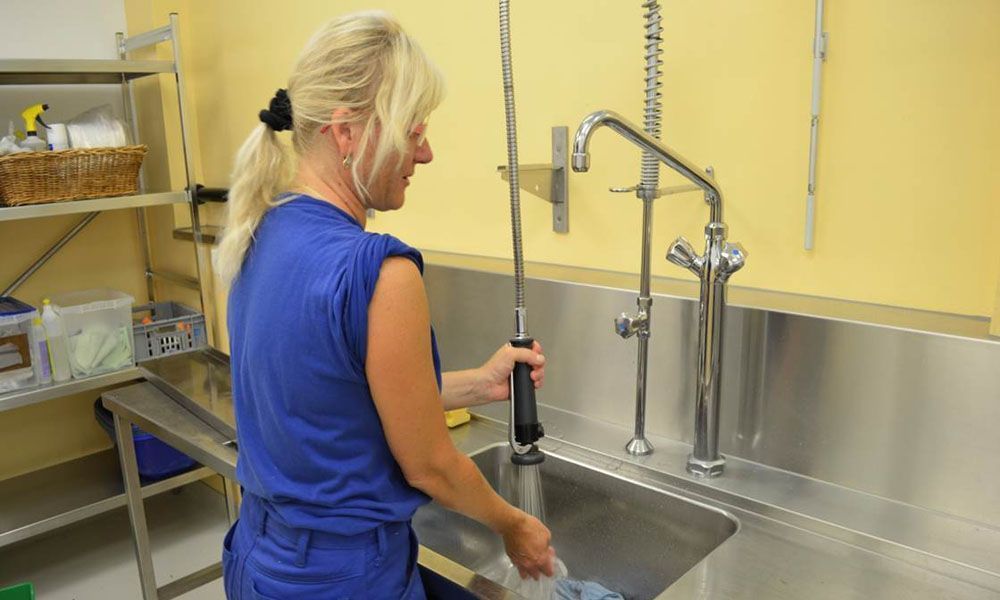 Professionelle Reinigung