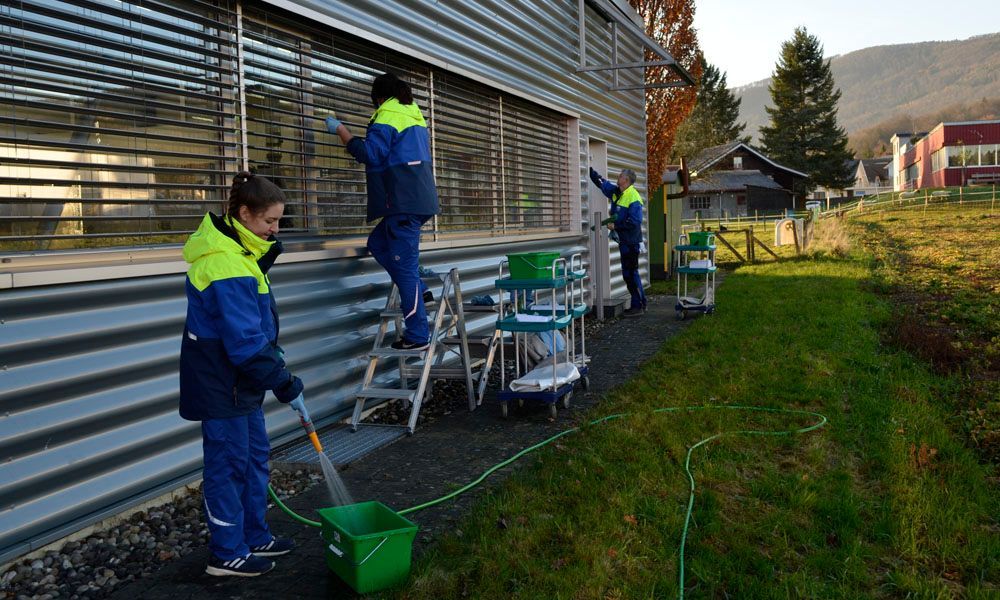 Professionelle Reinigung