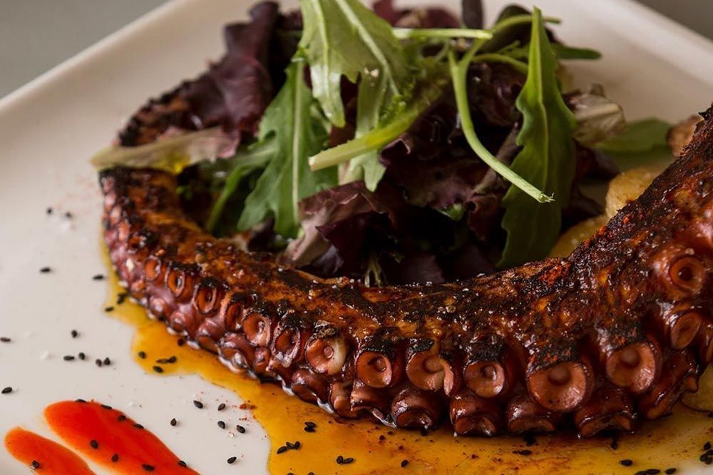 Un plato blanco cubierto con un pulpo a la parrilla y una ensalada.
