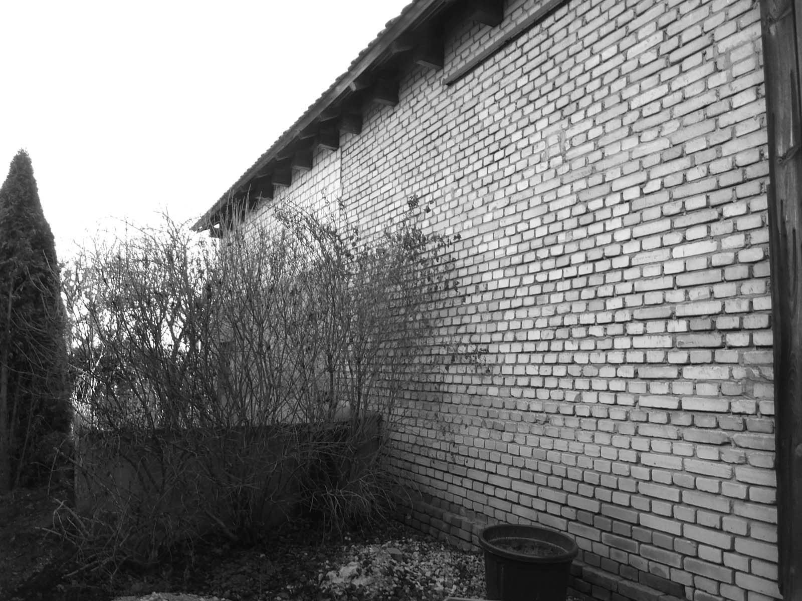 Hausmauer mit Ziegeln eines denkmalgeschützten Bauernhofs, Bauwerkstrockenlegung Sven Langer GmbH