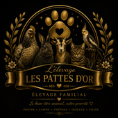 Logo de l'entreprise L&rsquo;&eacute;levage Les Pattes d'or