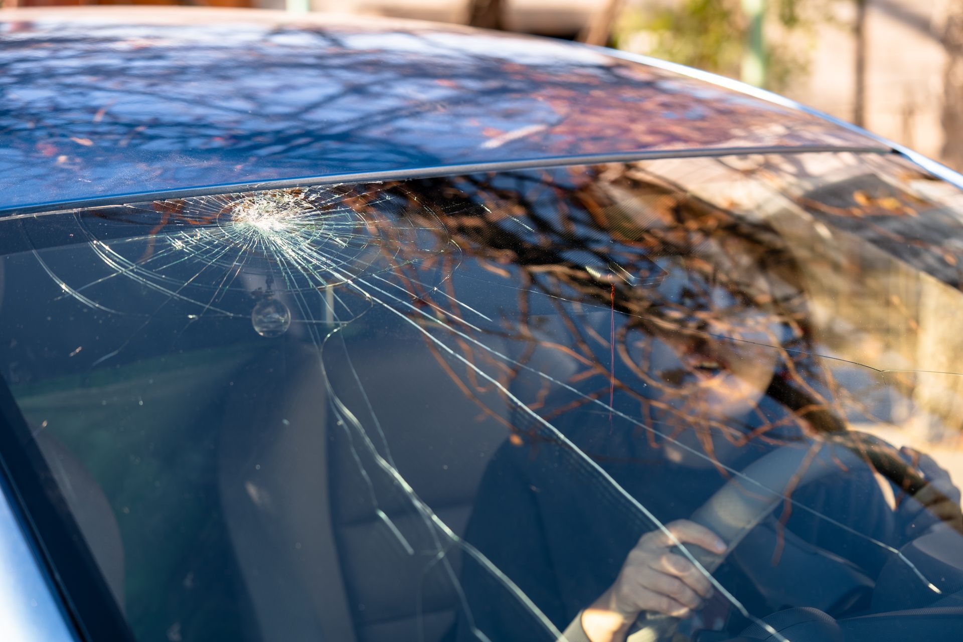 Pare-brise fissuré d'une voiture avec une personne à l'intérieur, reflétant les branches d'un arbre au soleil