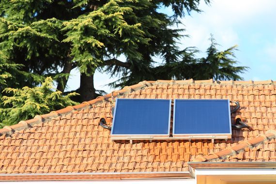 Zwei Solarpanele auf einem Hausdach mit Tannen im Hintergrund