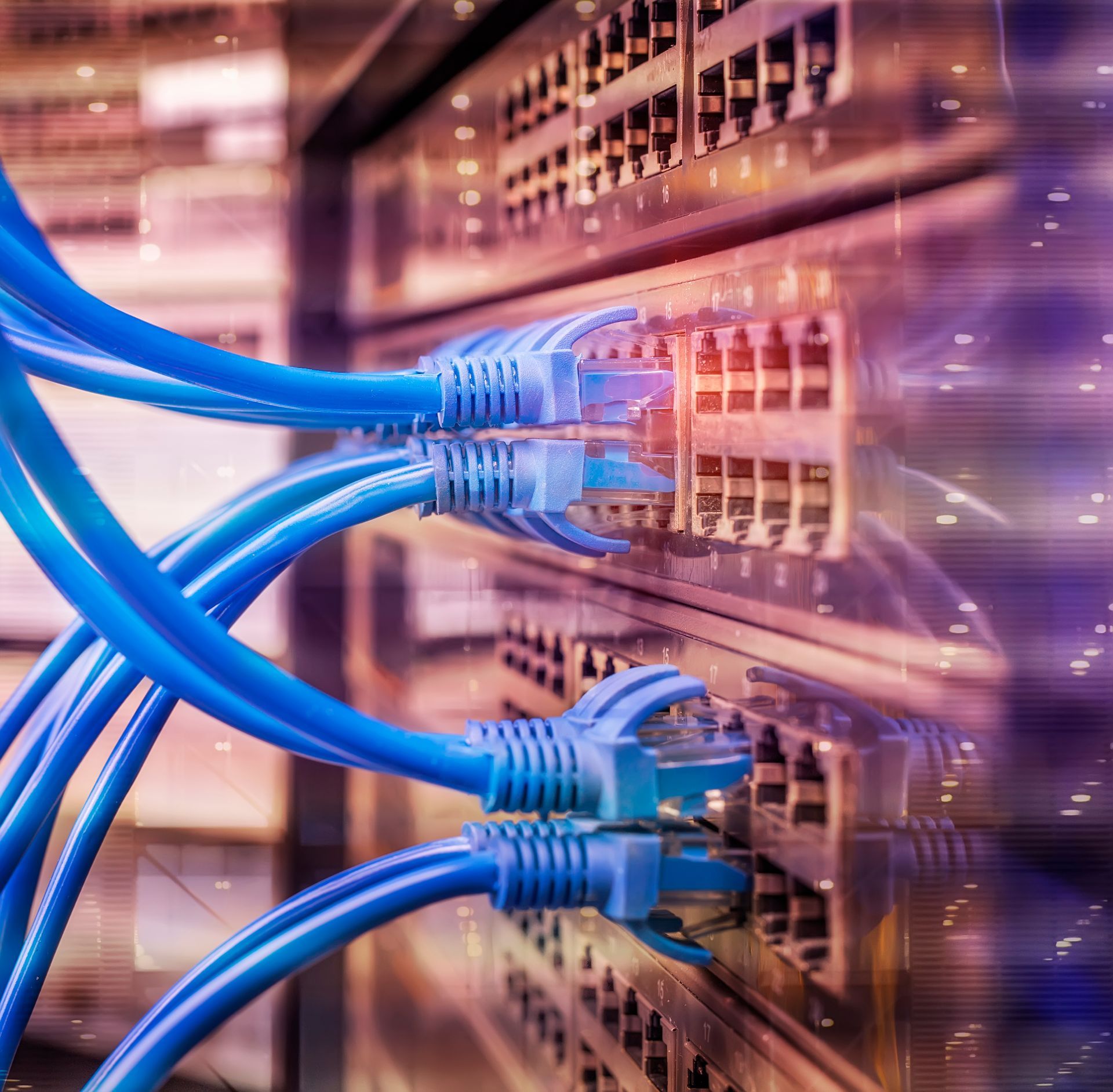 Cables de branchement pour les serveurs