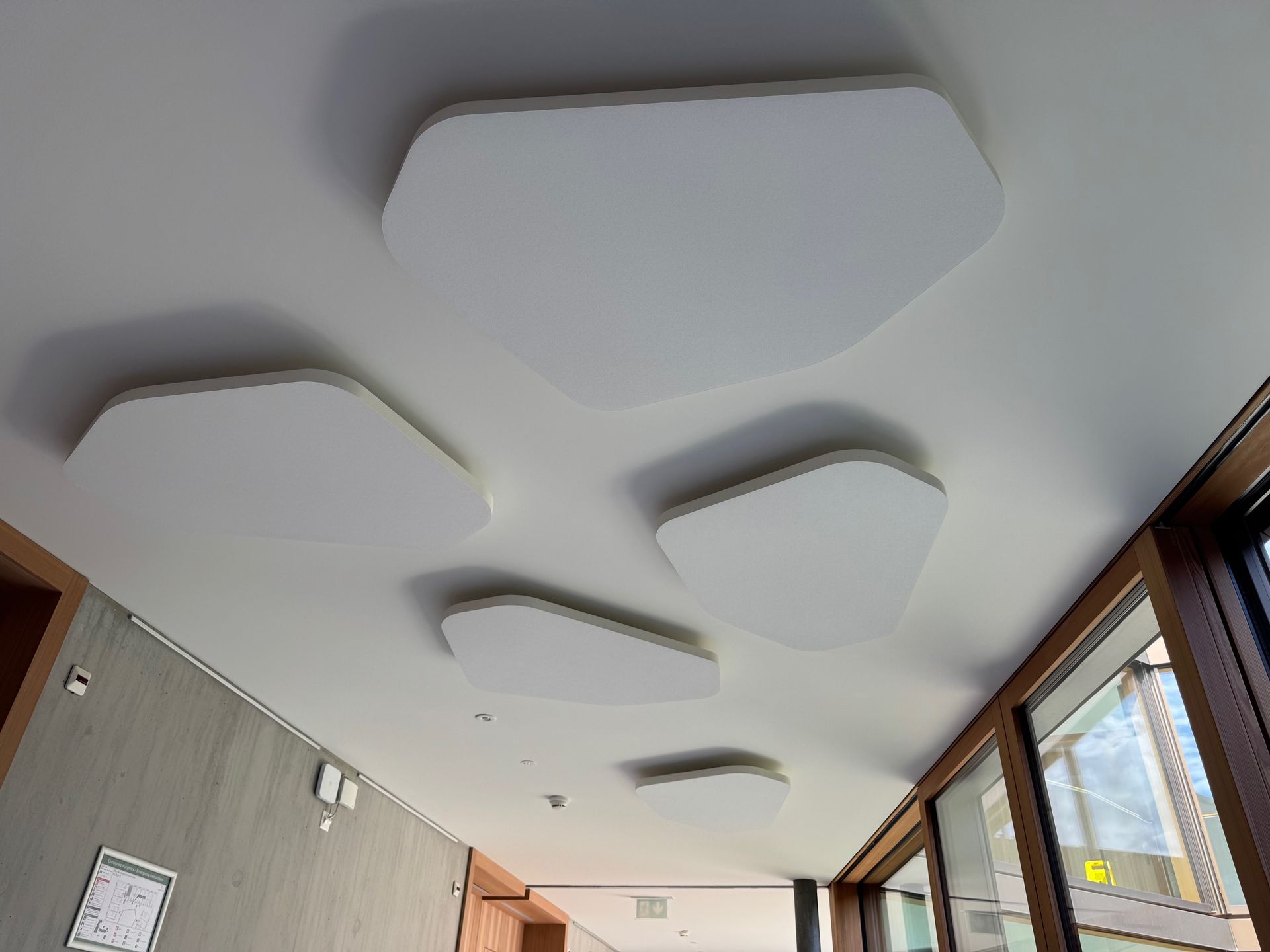 Plafond avec panneaux acoustiques blancs dans un couloir près des fenêtres et des portes en bois