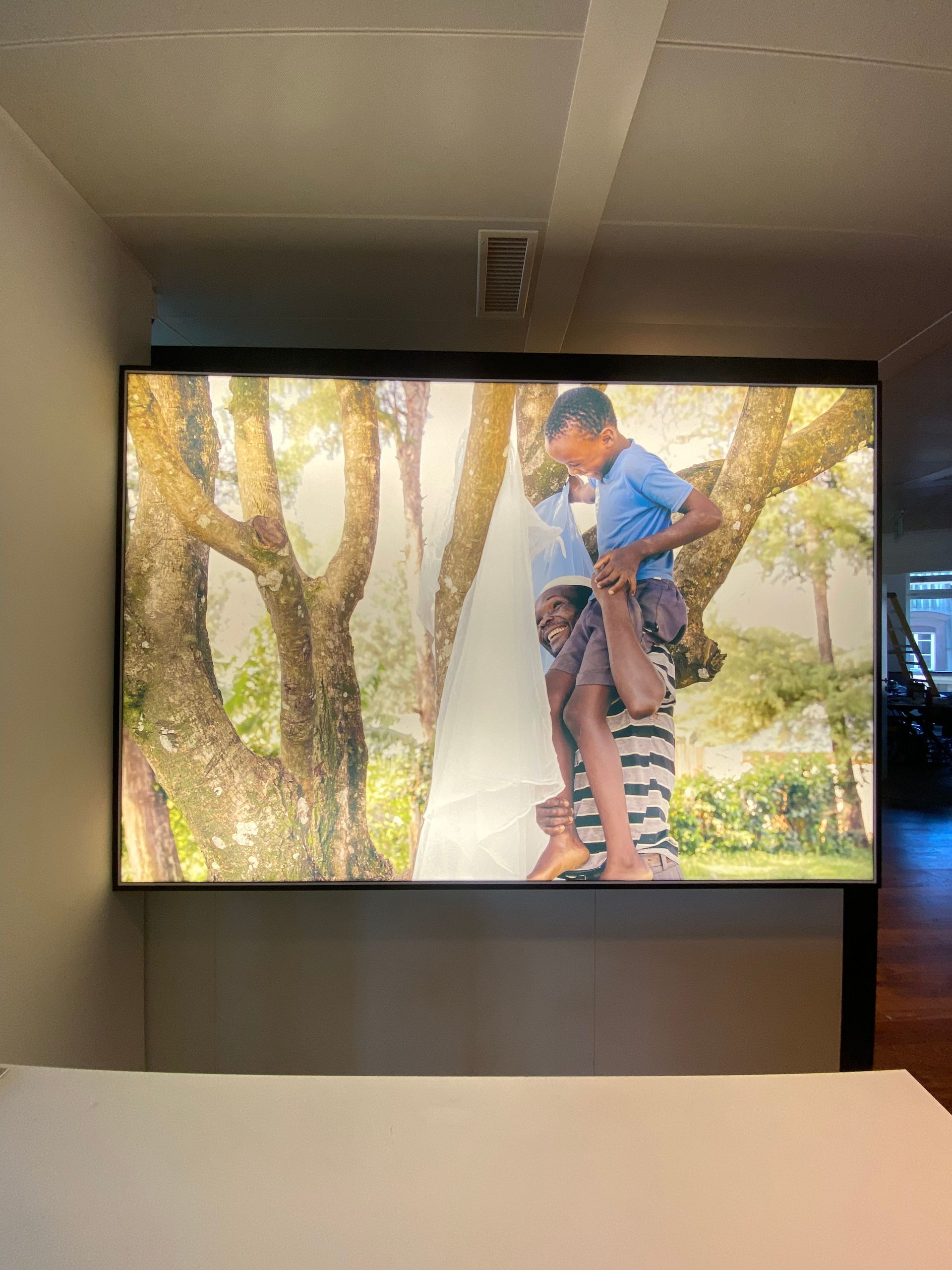 Une personne en legging rayé est soulevée parmi les arbres sur un grand écran intérieur
