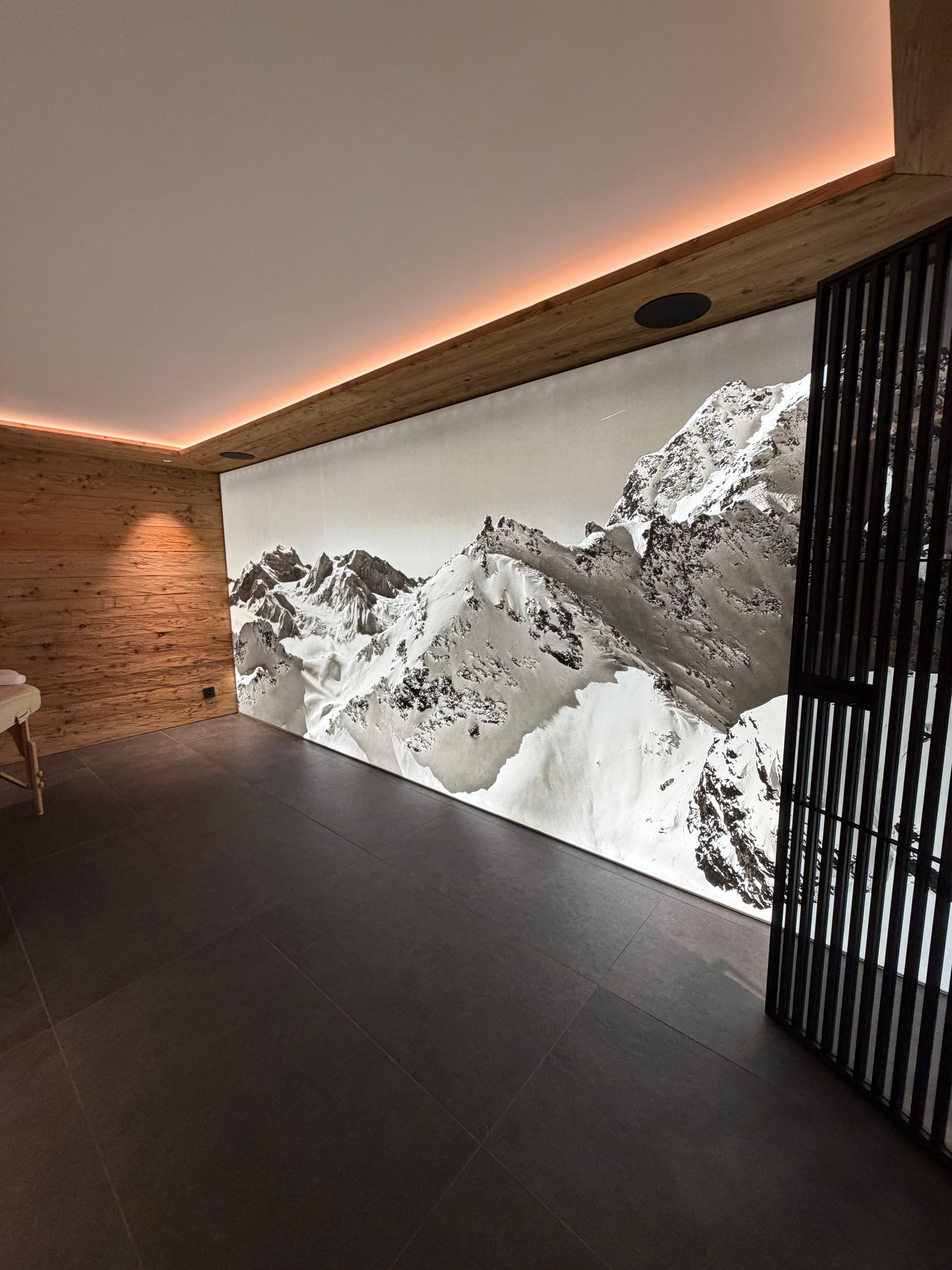 Chambre moderne avec une grande fresque murale de montagne, moulures au plafond en bois, sol foncé et cloison.