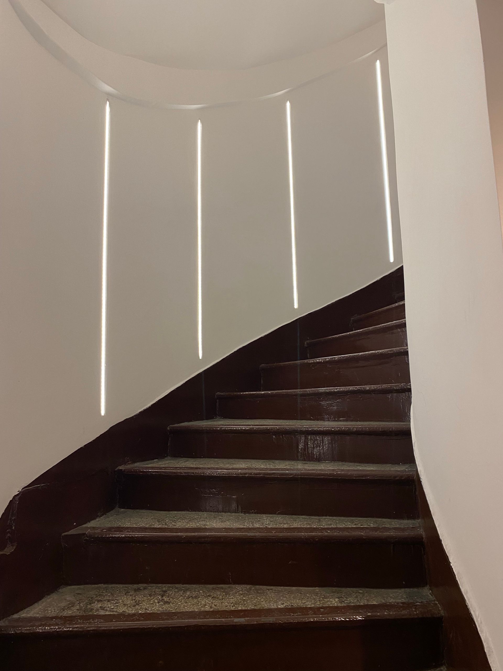 Escalier courbe aux marches sombres et aux murs lambrissés 