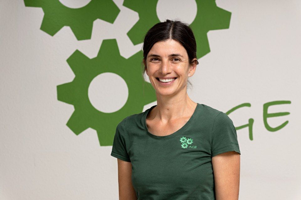 Kai Haarhaus AGE Arbeitsgemeinschaft Ergotherapie - Praxis für Handtherapie