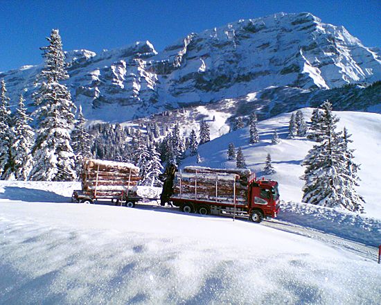 Transport Pastor Philippe - construction métallique