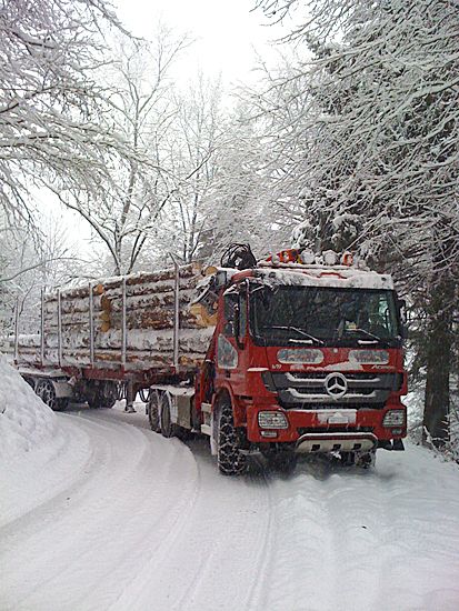 Transport Pastor Philippe - bois de cheminée
