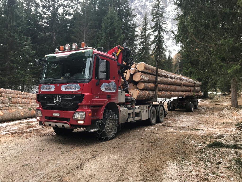 transport de bois - Transports Pastor Philippe