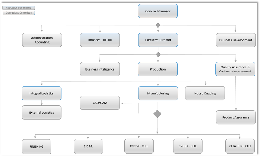 Organigrama: Gerente de Información, Director Ejecutivo, departamentos y subdepartamentos.