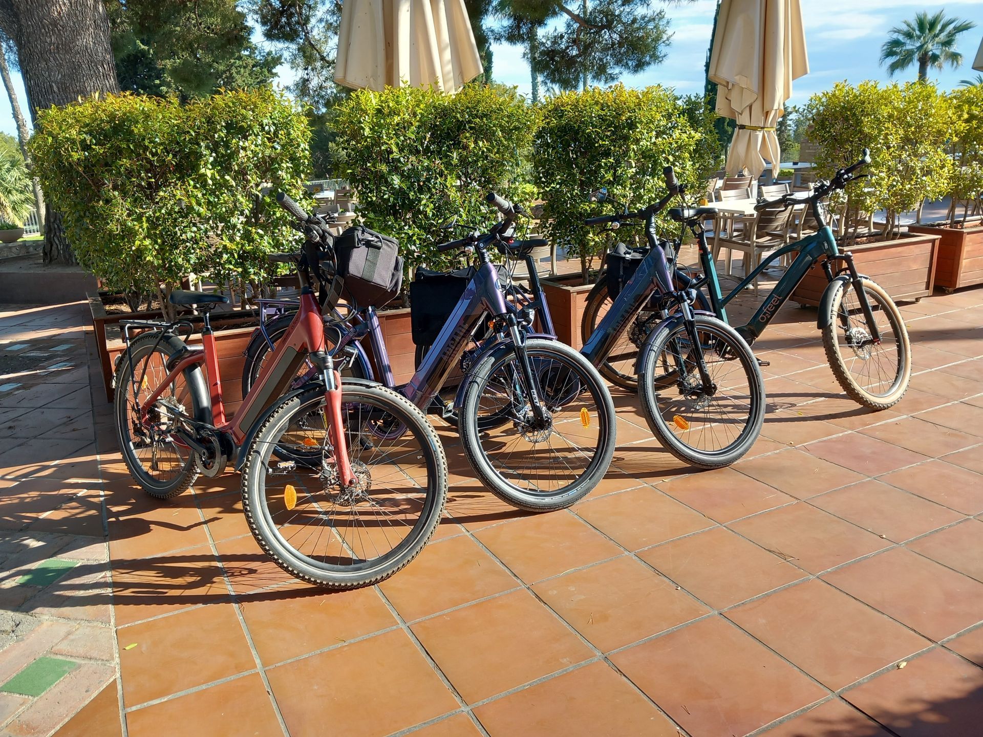 Des vélos de ville alignés en extérieur