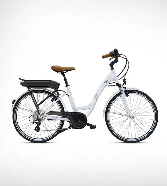 Un VTT blanc et marron.