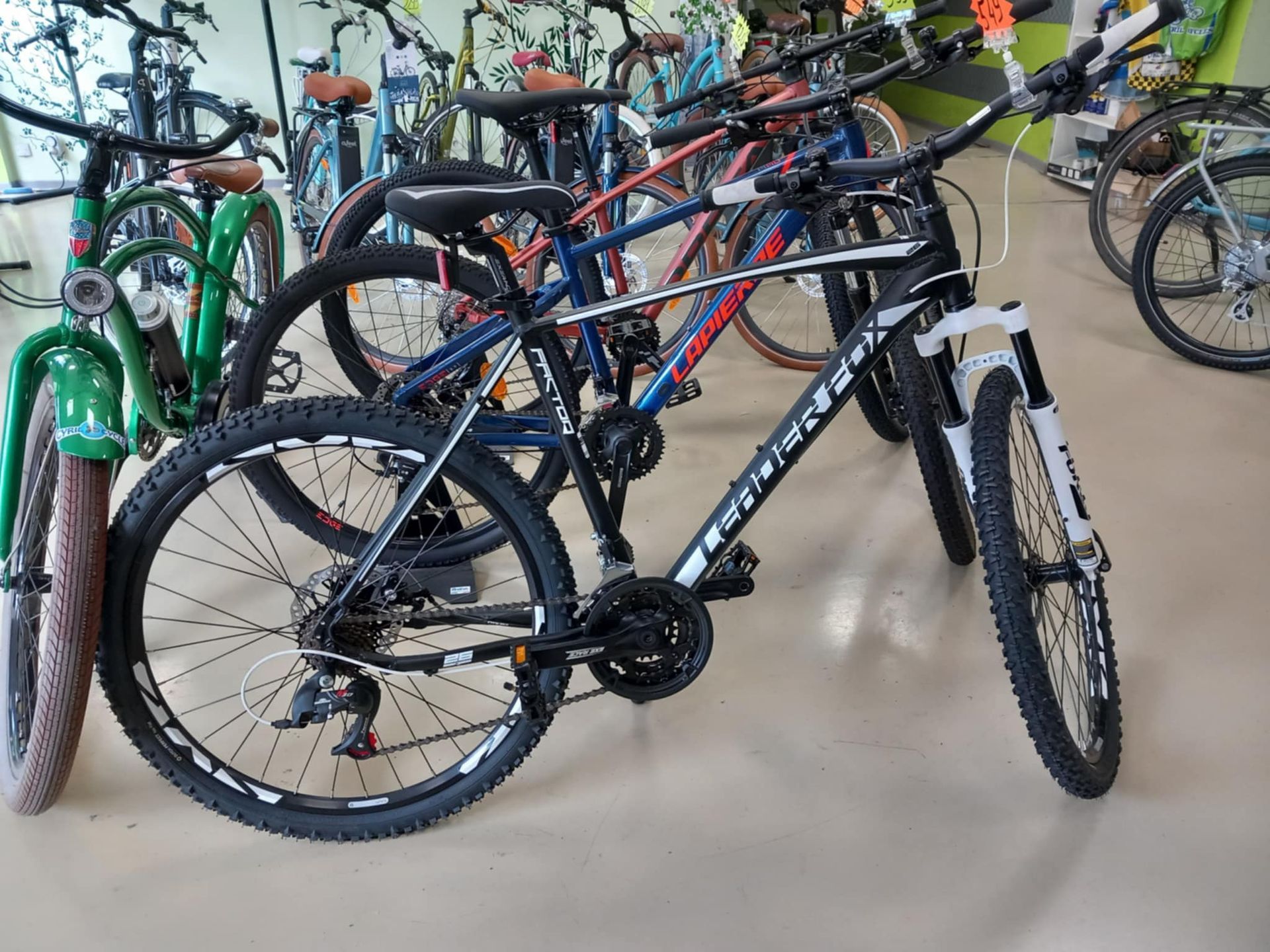 Des vélos dans un magasin de vélos