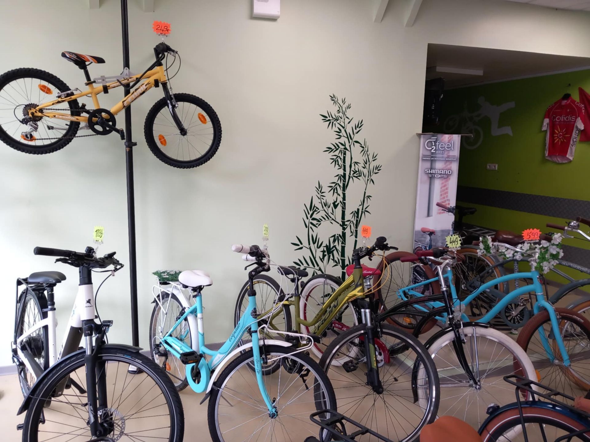 Plusieurs vélos dans un magasin de vélos