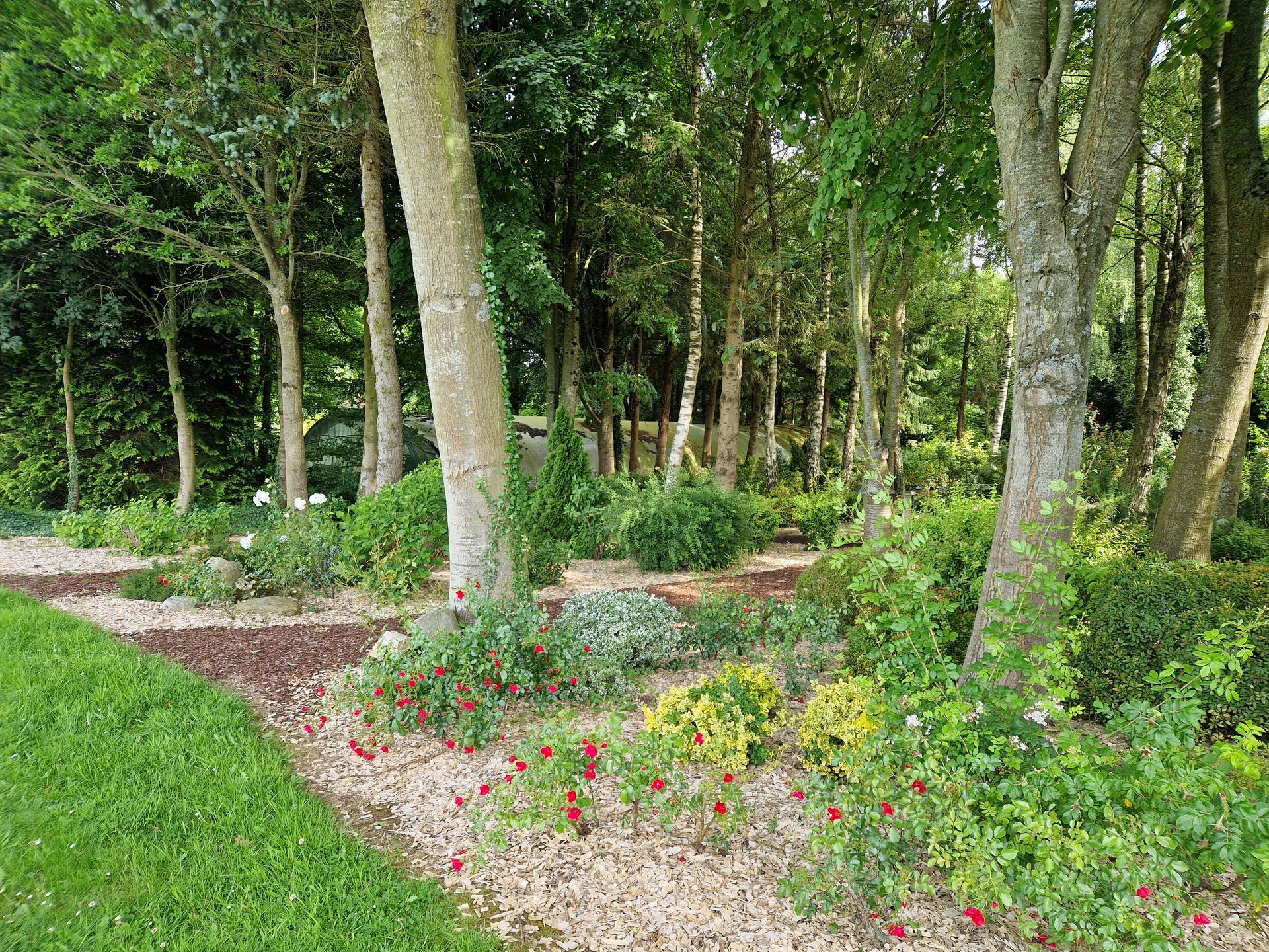 Plantation de végétaux