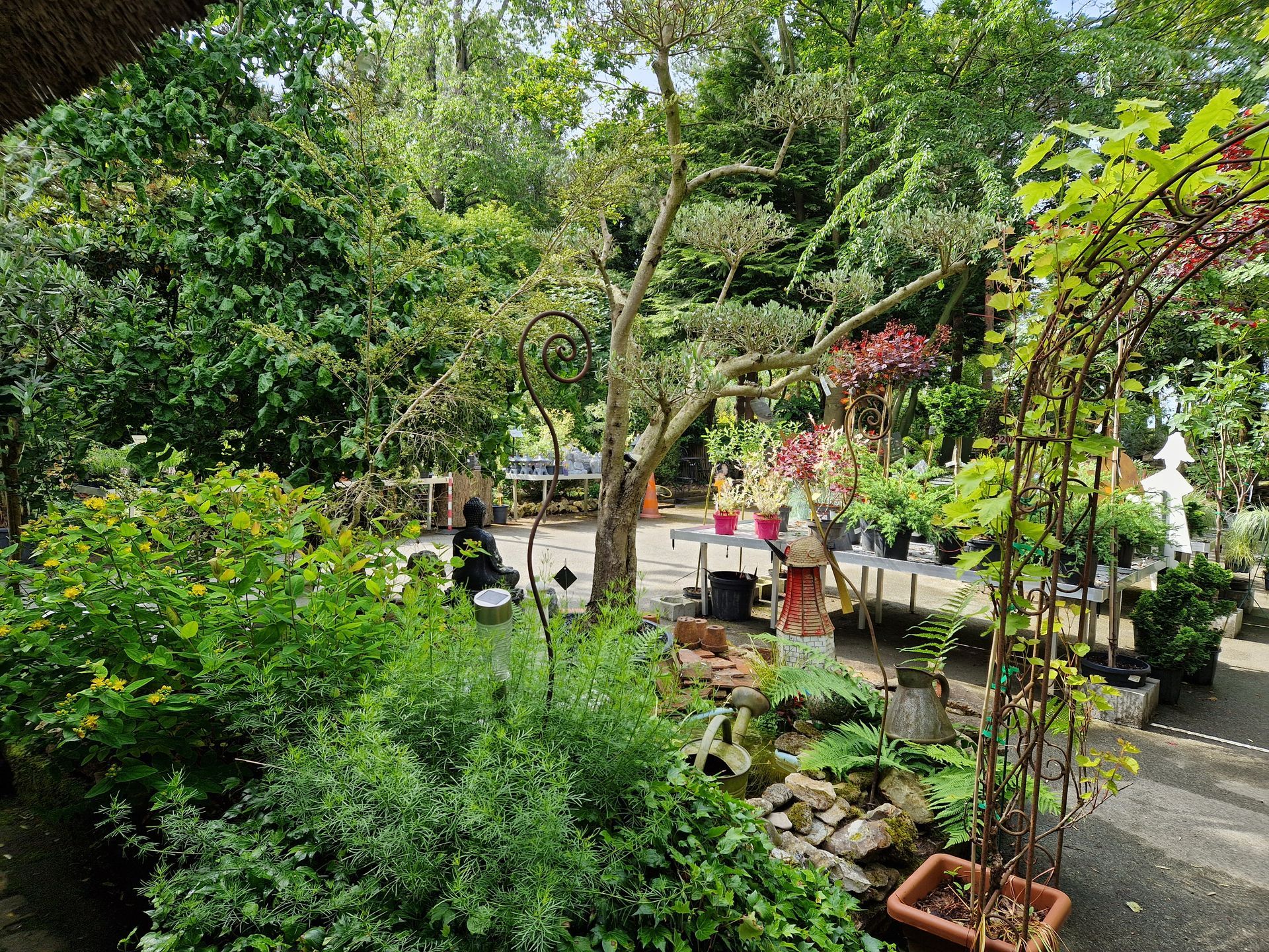 Décoration et plantes