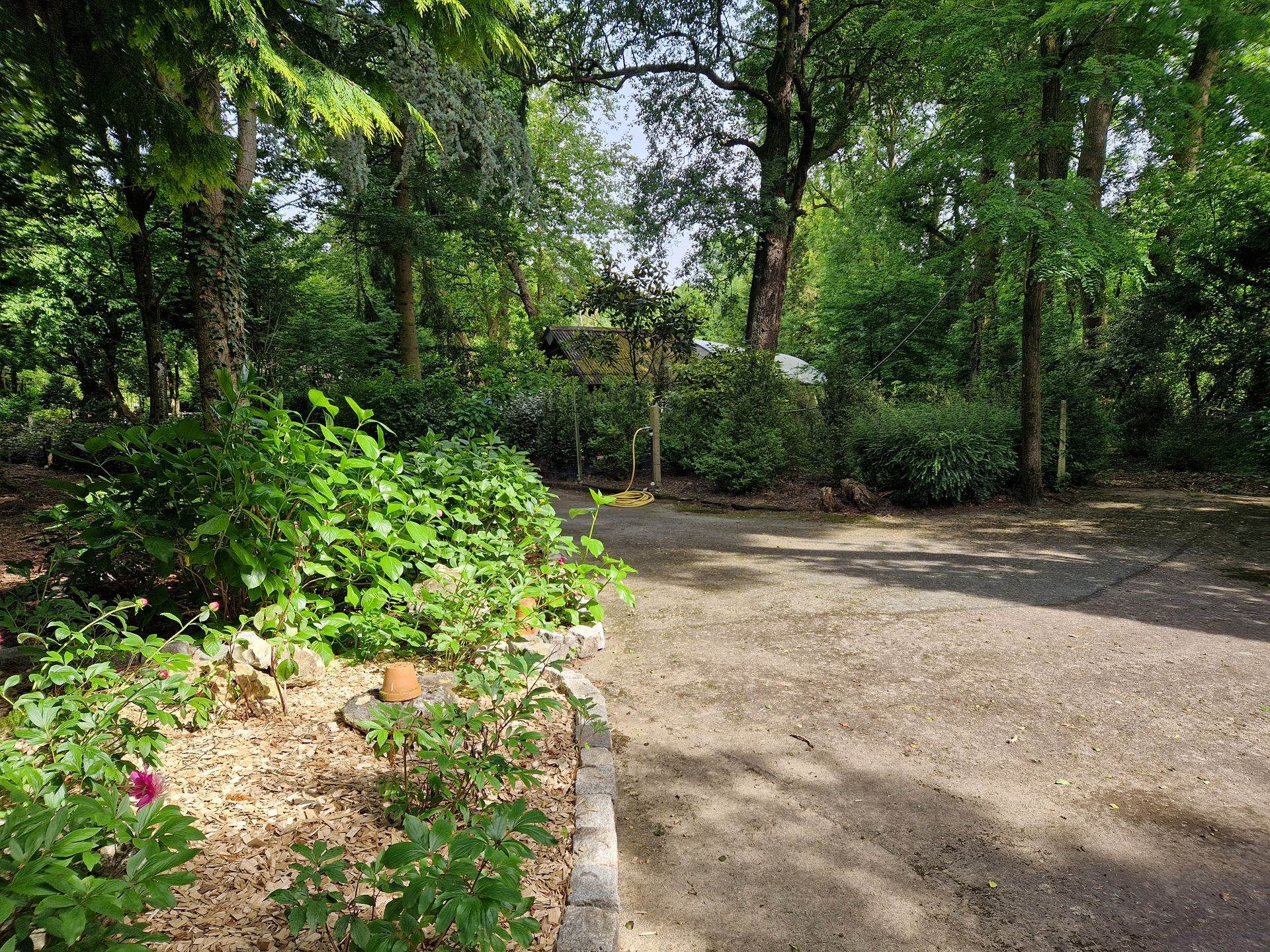 Allée de jardin pour visiter la pépinière