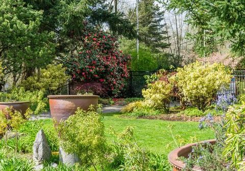 Un jardín lleno de muchas plantas en macetas y árboles.