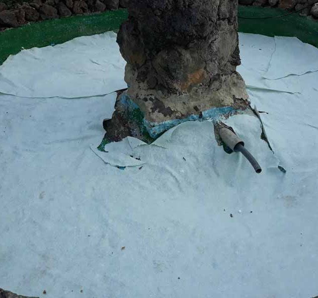 Un tronco de árbol está rodeado por una tela blanca y un tubo.
