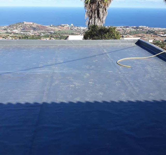 Un tejado con vista al mar y una palmera.