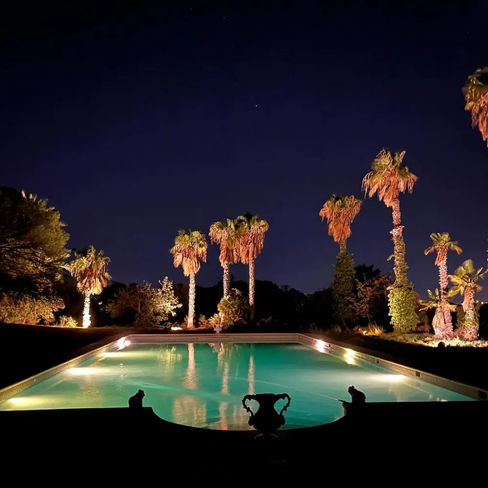 Piscina iluminada bordeada de palmeras por la noche bajo un cielo oscuro.