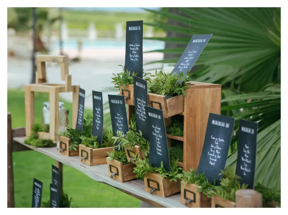 Pequeñas plantas en macetas con etiquetas de pizarra negra dispuestas sobre una mesa de madera al aire libre.
