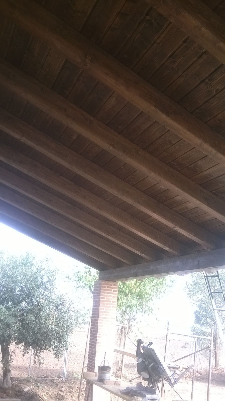 Un pájaro está sentado en una mesa bajo un techo de madera.