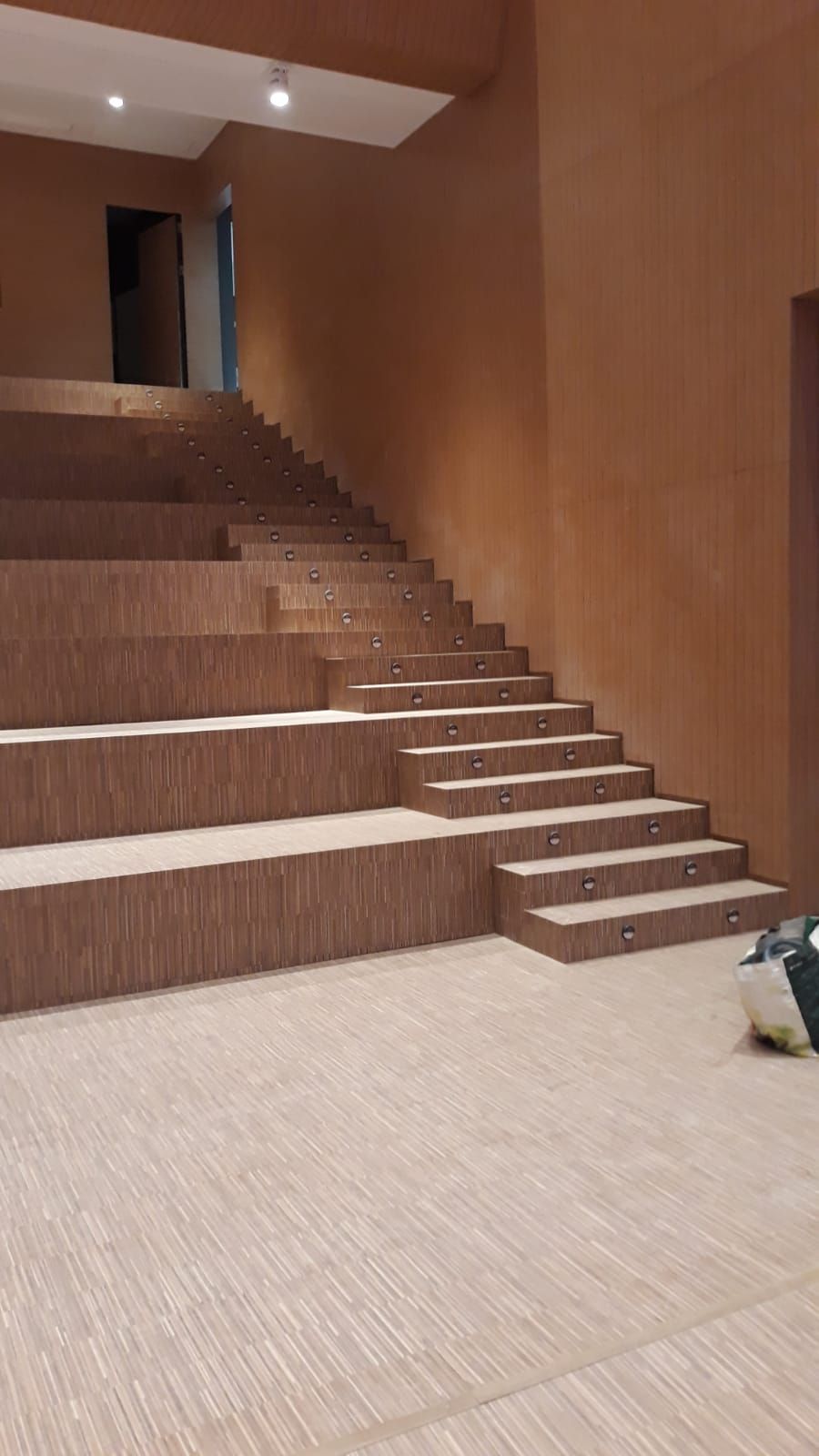 Un conjunto de escaleras que conducen a una habitación con suelo alfombrado.