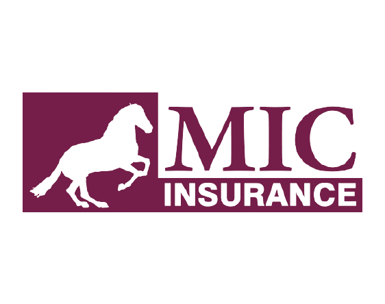 Logo MIC INSURANCE