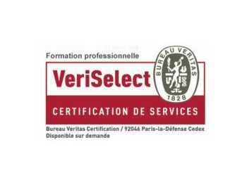 Logo VeriSelect