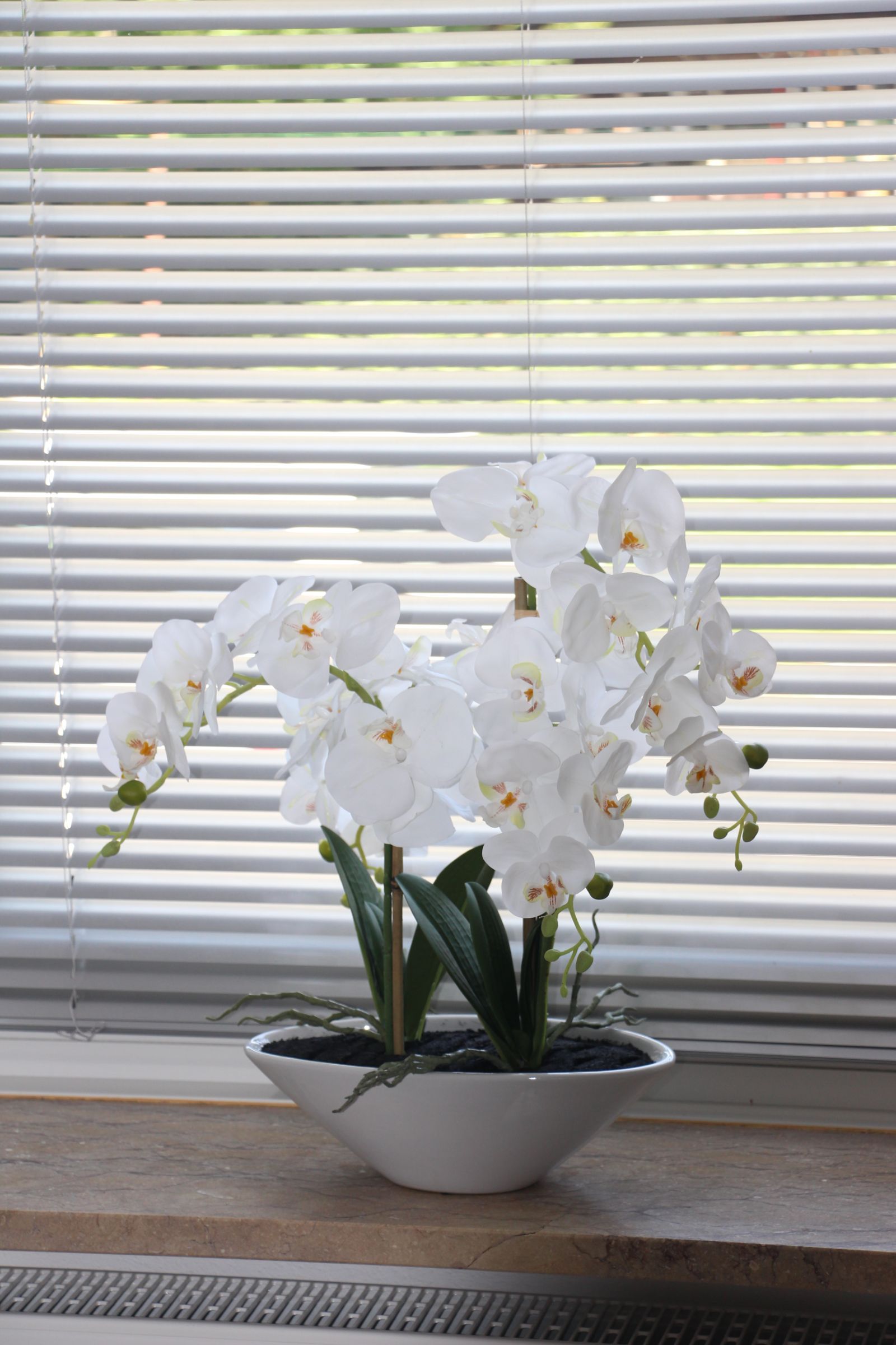 Foto dekorative Blume