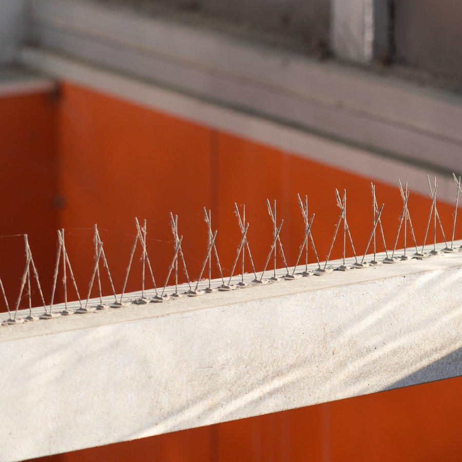 Une rangée de pointes métalliques sur une surface blanche
