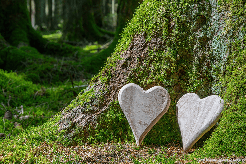 Zwei hölzerne Herzverzierungen lehnen an einem moosbewachsenen Baum.