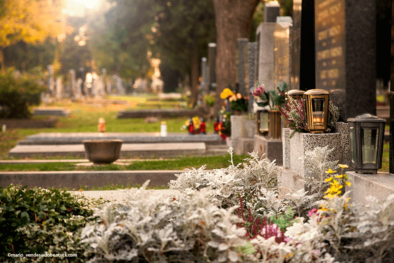 Reihen von Grabsteinen und bunte Blumen auf einem Friedhof, im warmen Sonnenlicht.
