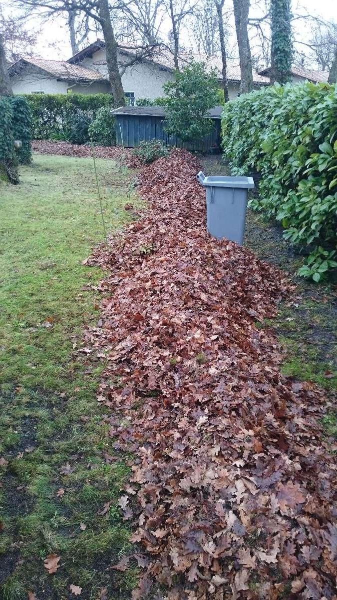 Pour le ramassage des feuilles, Les Jardins d'Antoine à Lanton (33)