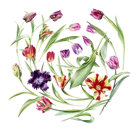 Una pintura de acuarela de flores en un círculo sobre un fondo blanco.