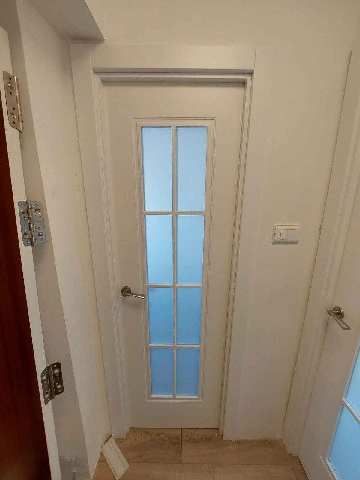 Pasillo estrecho con puertas blancas y una puerta interior de vidrio esmerilado sobre un suelo de baldosas.