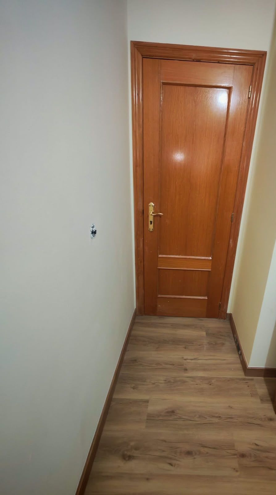 Pasillo estrecho con una puerta de madera cerrada y paredes y suelo de colores claros.