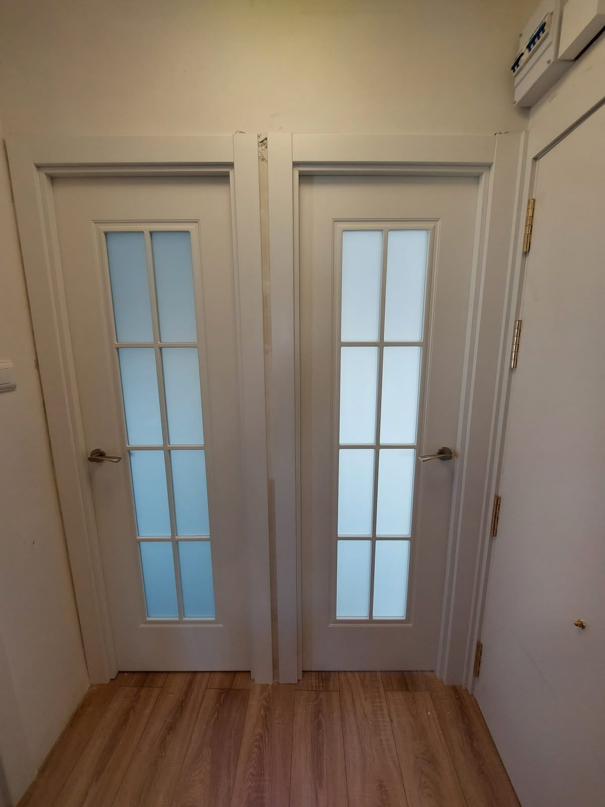 Pasillo blanco con dos puertas estrechas con paneles de vidrio y suelo de madera clara.